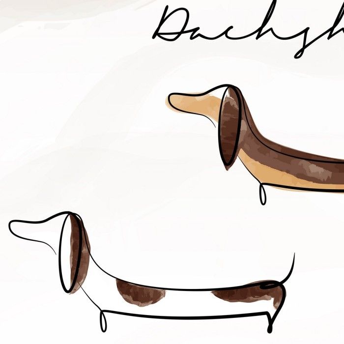 Funda nórdica Teckel detalle del dibujo