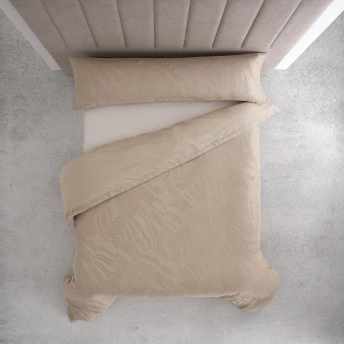 Kentia_piedra_cenital