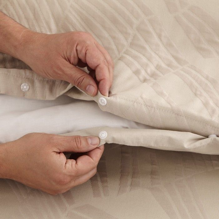 Kentia cierre con clips