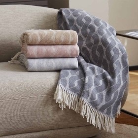 TRENA_BODEGON_AMBIENTE