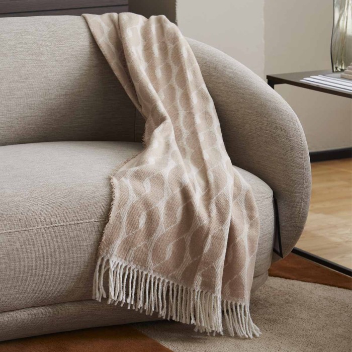 TRENA_PIEDRA_AMBIENTE