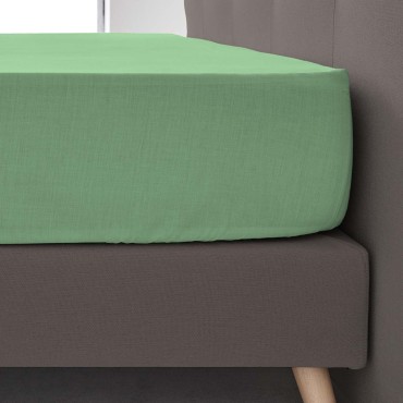 BAJERA_ALBAHACA_50-50_AMBIENTE