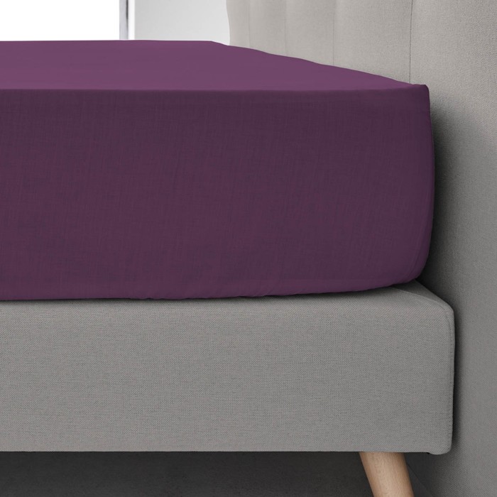 BAJERA_BERENJENA_50-50_AMBIENTE