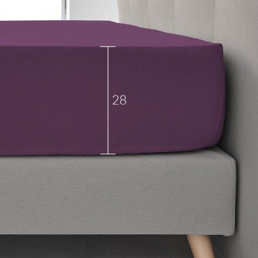 BAJERA_BERENJENA_50-50_AMBIENTE_MEDIDA