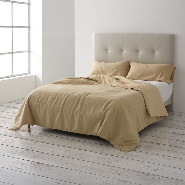 XARA_PIEDRA_AMBIENTE